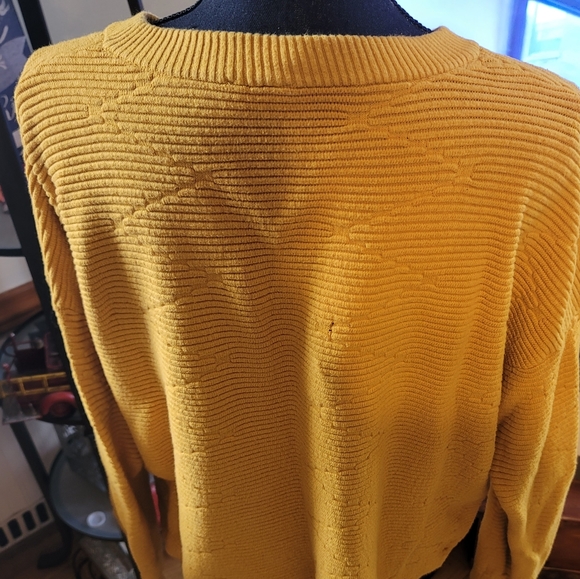 Divided Mustard Color RIbbed Sweater - Picture 5 of 8